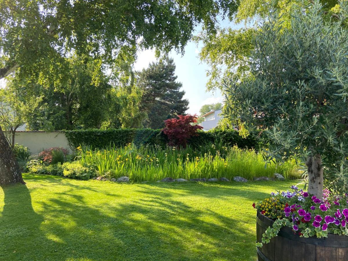 Pension Schmidt Podersdorf am See Dış mekan fotoğraf