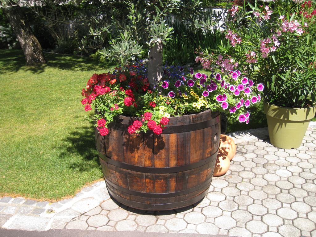 Pension Schmidt Podersdorf am See Dış mekan fotoğraf
