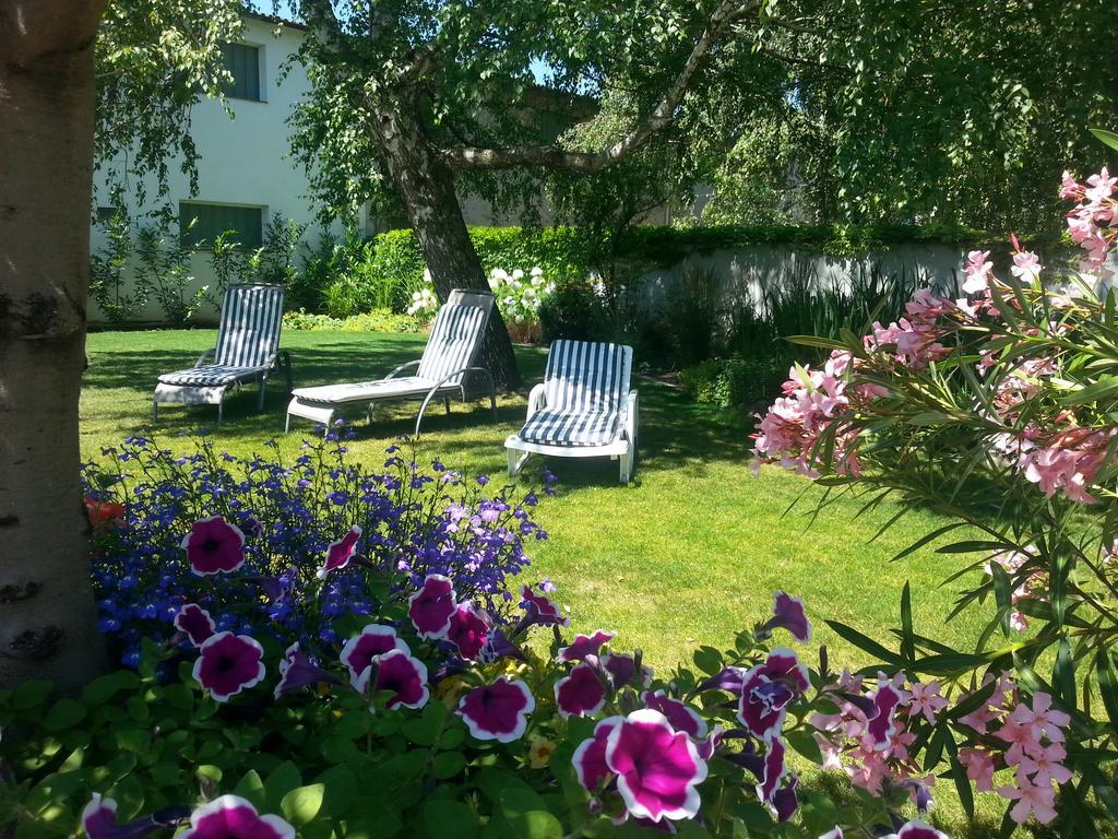 Pension Schmidt Podersdorf am See Dış mekan fotoğraf